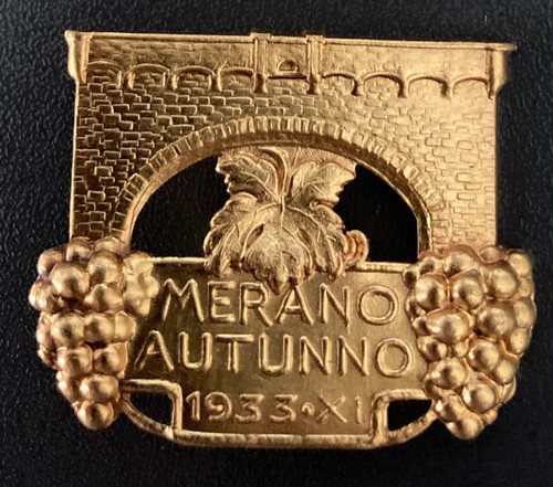 Spilla metallo merano - spilla, in